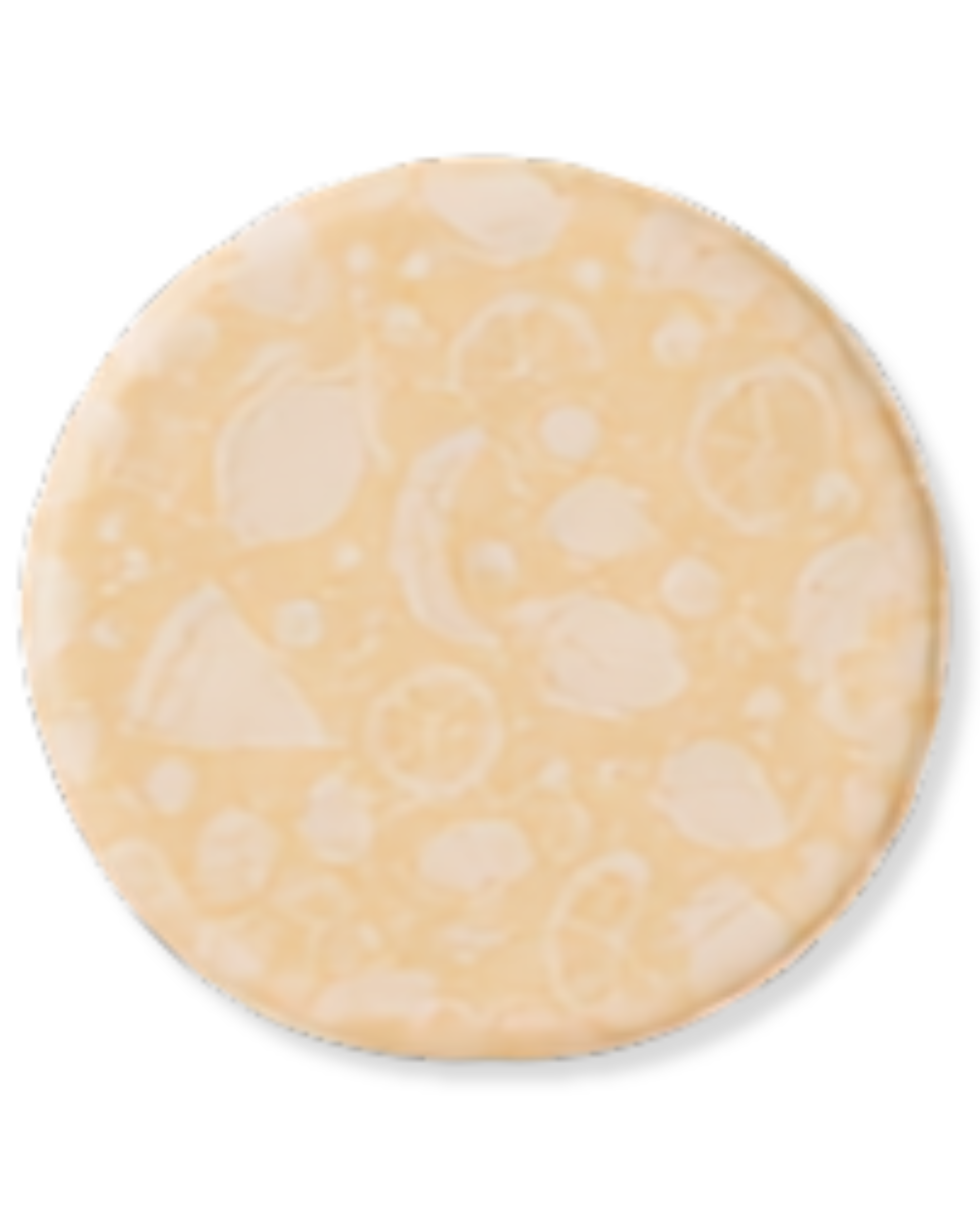 Neoprene Frisbee